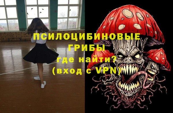 mdma Новодвинск