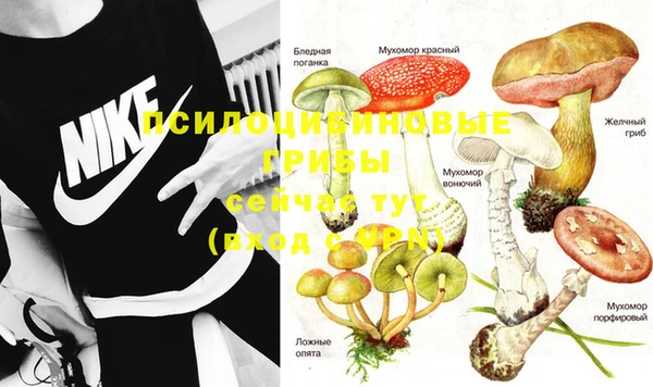 mdma Новодвинск