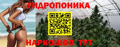метадон Гатчина