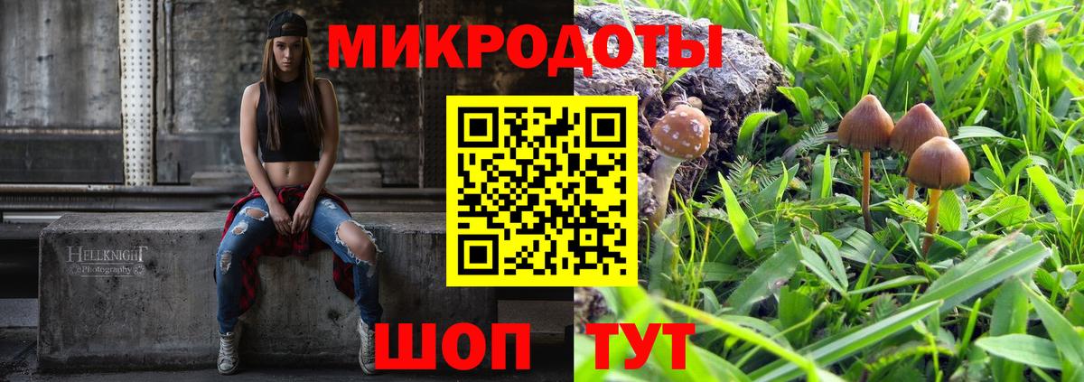 Псилоцибиновые грибы Psilocybine cubensis Лянтор
